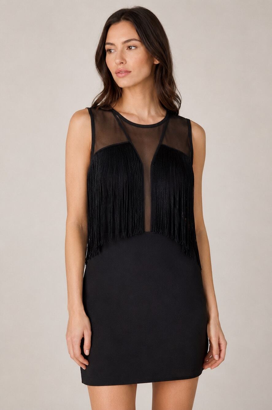 Sandro Paris Black Fringe Detail Sheer Panel Mini Dress – Size 3 (US M)